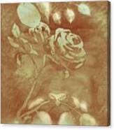Honey Rose I Canvas Print