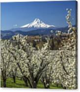 Hood River Valley In Bloom Canvas Print