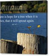 Hope For A Tree Canvas Print