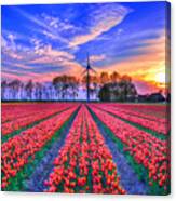 Hope Of Spring Canvas Print