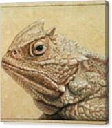 Horned Toad Canvas Print