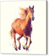 Horse // Boundless Canvas Print