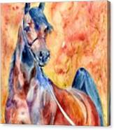 Horse On The Orange Background Canvas Print
