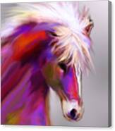 Horse True Colors Canvas Print