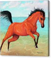 Horseplay Canvas Print