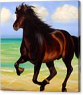 Horses In Paradise  Run Canvas Print