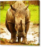 Huge South African Rhino Canvas Print
