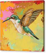 Hummingbird #19 Canvas Print