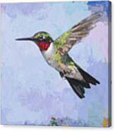 Hummingbird #3 Canvas Print