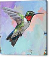Hummingbird #4 Canvas Print