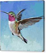 Hummingbird #6 Canvas Print