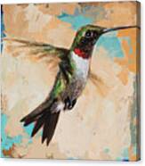 Hummingbird #9 Canvas Print