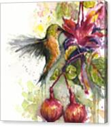 Hummingbird And Fuchsia Canvas Print