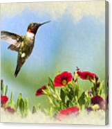 Hummingbird Frolic Blank Note Card Canvas Print