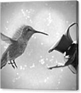 Hummingbird Magic - Black And White Canvas Print