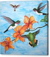 Hummingbirds Canvas Print