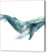 Humpback Whale From Whales Chart Canvas Print