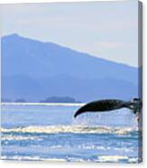 Humpback Whale Flukes Canvas Print