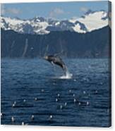 Humpback Whale Full Breach Portrait Canvas Print