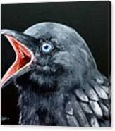 Hungry Baby Raven Canvas Print
