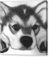 Huskie Pup Canvas Print