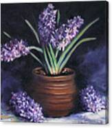 Hyacinths In A Pot Canvas Print