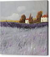 I Campi Di Lavanda Canvas Print