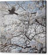 I Have A Bird In Spring Canvas Print