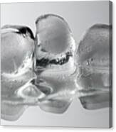 Ice Cubed Canvas Print