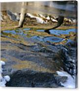 Ice Water Reflection Canvas Print