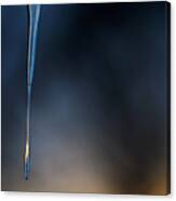 Icicle Canvas Print