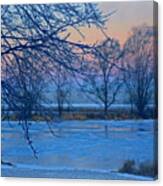 Icy Beauty Canvas Print