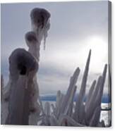 Icy Sentinels On Superior Canvas Print