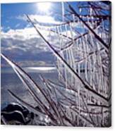 Icy Superior View Canvas Print