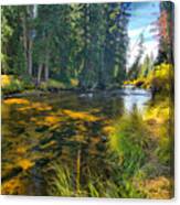 Idaho Stream Canvas Print