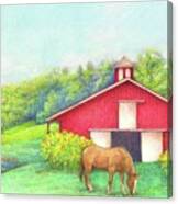 Idyllic Summer Landscape Barn With Horse Canvas Print