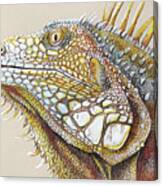 Iguana Portrait Canvas Print
