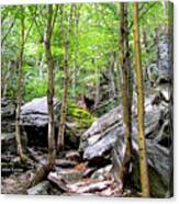Image Included In Queen The Novel - Rocks At Smugglers Notch Enhanced Canvas Print