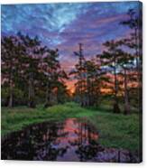 Imbeau Bayou Sunrise Canvas Print