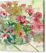 Impatiens Canvas Print