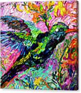 Impressionist Hummingbird Oil  Painting Canvas Print