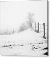 In Defense Of Snow Canvas Print