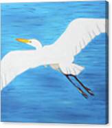 In Flight Entertainment Canvas Print