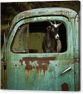 In The Drivers Seat Canvas Print