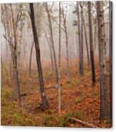 In The Fog Canvas Print