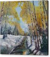 In The Shadow Of The Aspen Canvas Print