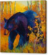 In To Spring - Black Bear Canvas Print