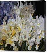 Incredible Irises - Cutout Canvas Print