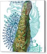 Indian Peacock Henna Design Paisley Swirls Canvas Print
