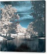 Infrared Canvas Print